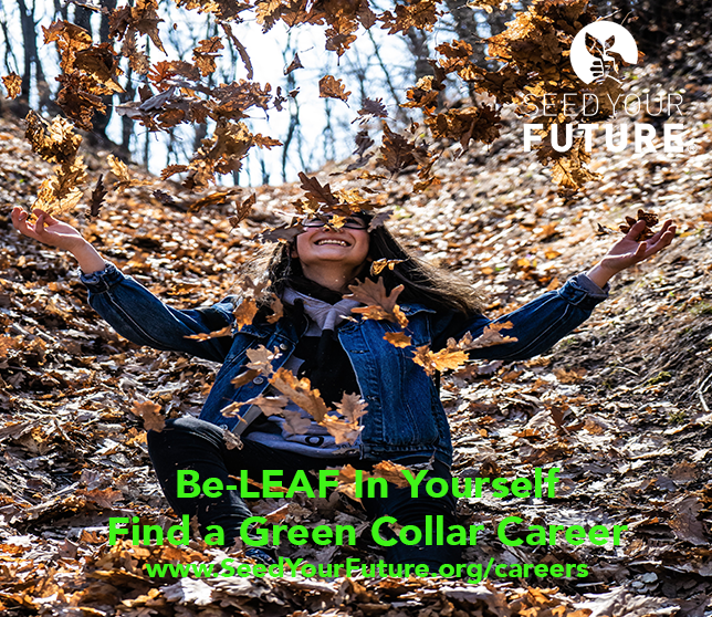 seedyourfuture's tweet photo. We be-leaf you can find the right #GreenCollar career that will make you #planthappy for the rest of your life! Do you be-leaf? #ILoveMyPlantJob #SeedYourFuture https://t.co/wUddOKQBom