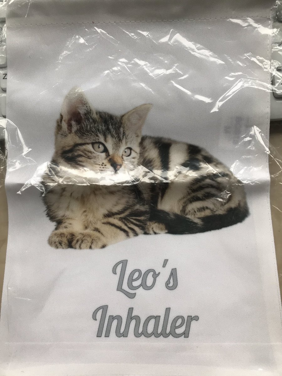 naturallycats1's tweet image. Little Leo’s new inhaler bag turned up today. Great little item to keep his inhalers and spacer chamber in. Just need to work on the behaviour modification so he’ll let me use the kit on him now! #catscanbetrained #takestime #committedcatmum