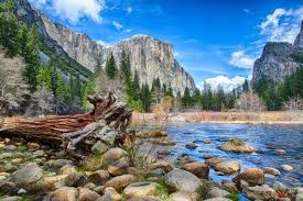 USGSTNM's tweet photo. Is your favorite #NationalPublicLandsDay a protected area? Check out the updated Protected Areas Database of the US. PAD-US is the official national inventory of land and marine protected areas. https://t.co/byUThR2ne7 @Interior @USGS #NPLD #PADUS #mapping https://t.co/Yz2vRxtTpz