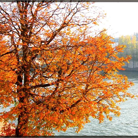 HotelEiffelCap's tweet photo. L'automne s'installe doucement sur Paris. Venez découvrir notre charmant hôtel #hoteleiffelcapitol #weekendparisien #reservation #coconing https://t.co/JmoTNf9SJk