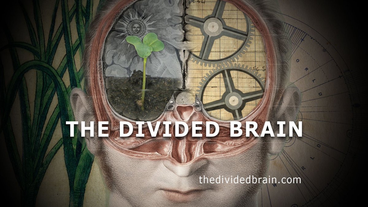 The Divided Brain tweet media
