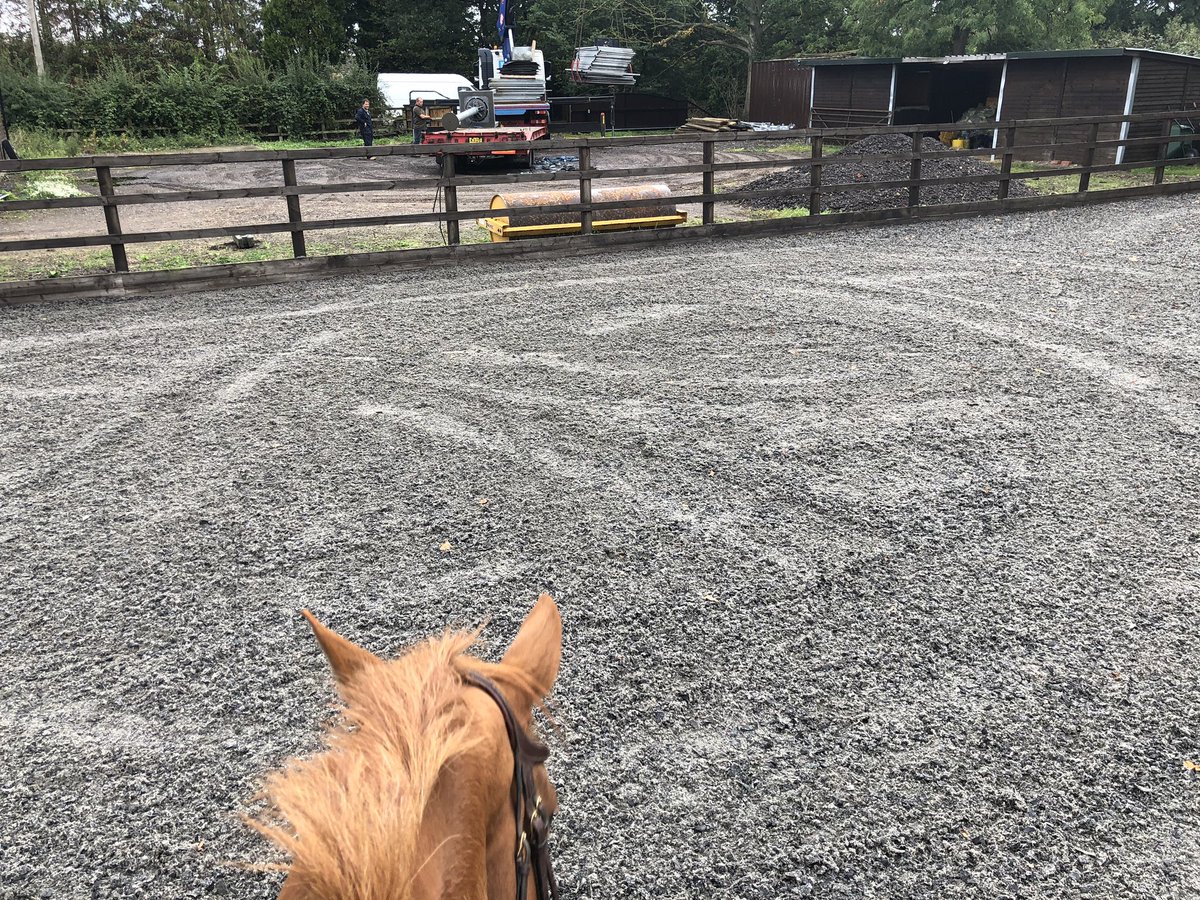 Just the new horse walker arriving! Looking forward to the covered walker this winter! 🙌🏻