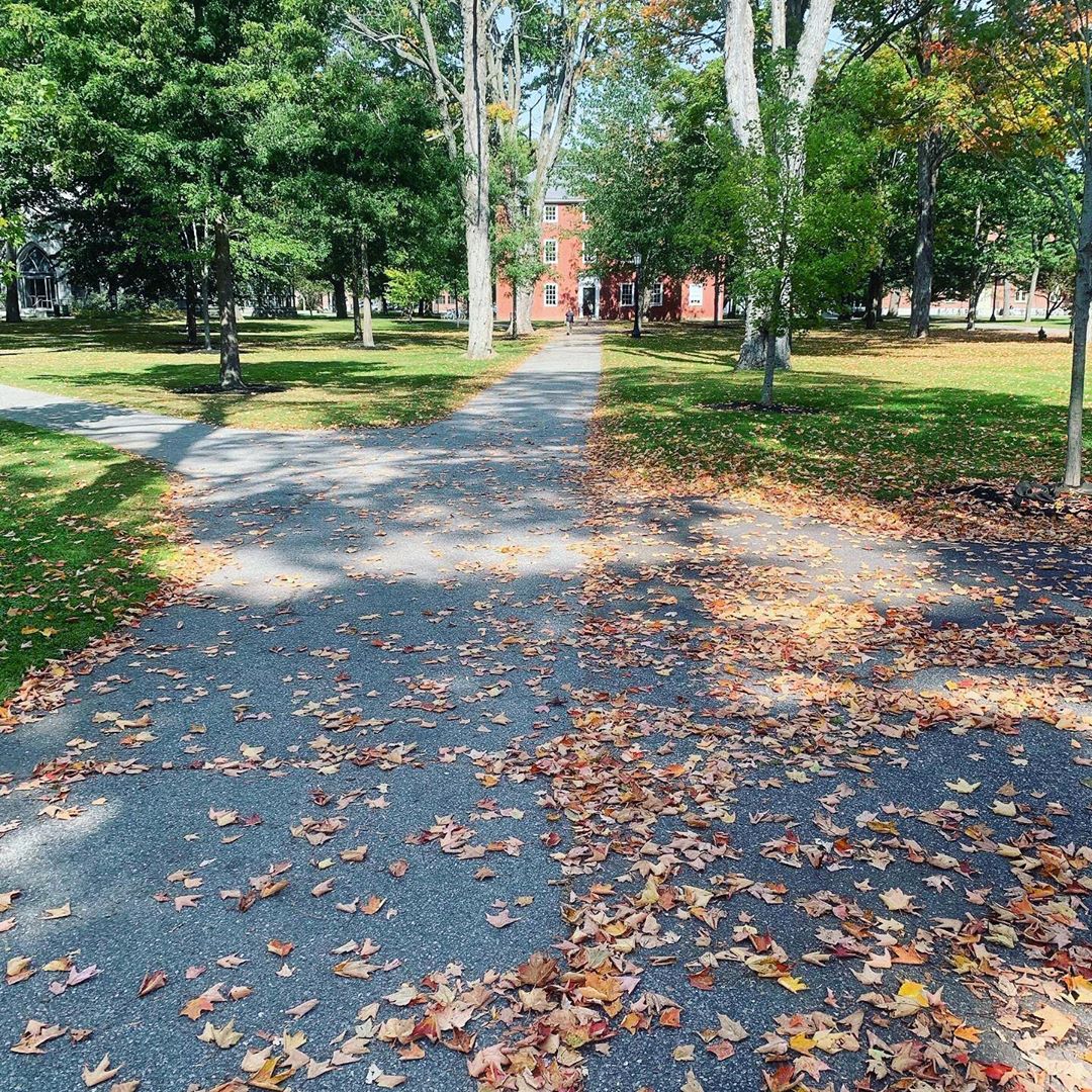 Bowdoin College tweet media