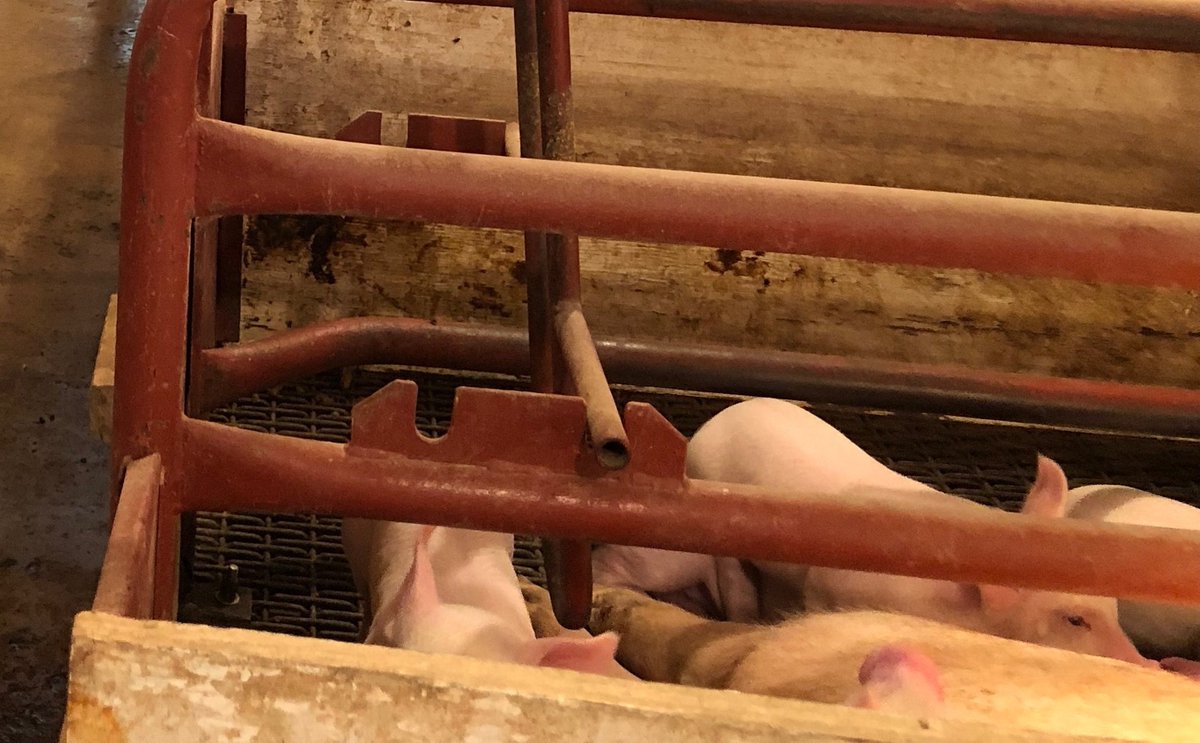 Weakley County Schools tweet media