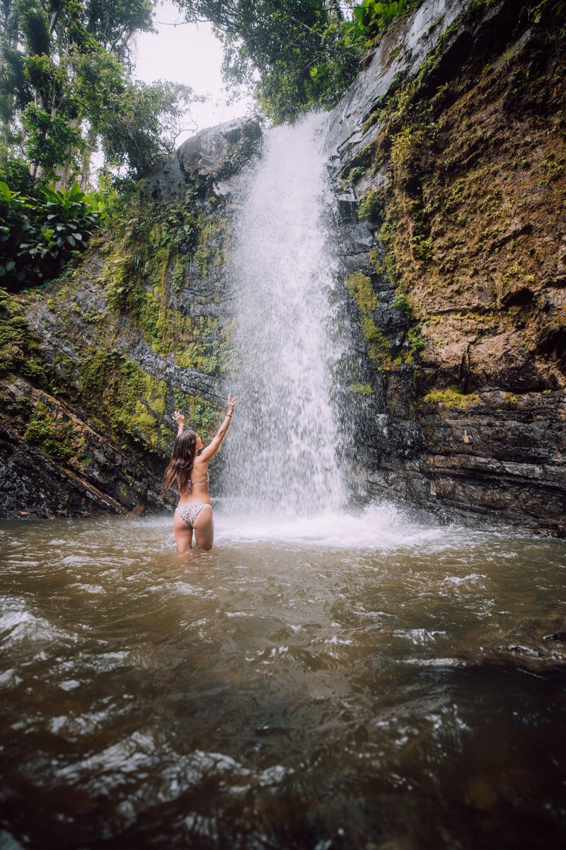 discover_PR's tweet photo. @_LoveCaribbean A10 El Yunque, the only tropical rainforest in the U.S. Forest System, is a natural gem that sets #PuertoRico apart. But there are more where that came from– our #biobays, mountain ranges, Mona Island, dry forest and beaches for days! #DiscoverPuertoRico #LoveCaribbean https://t.co/LEOQEaa6qf