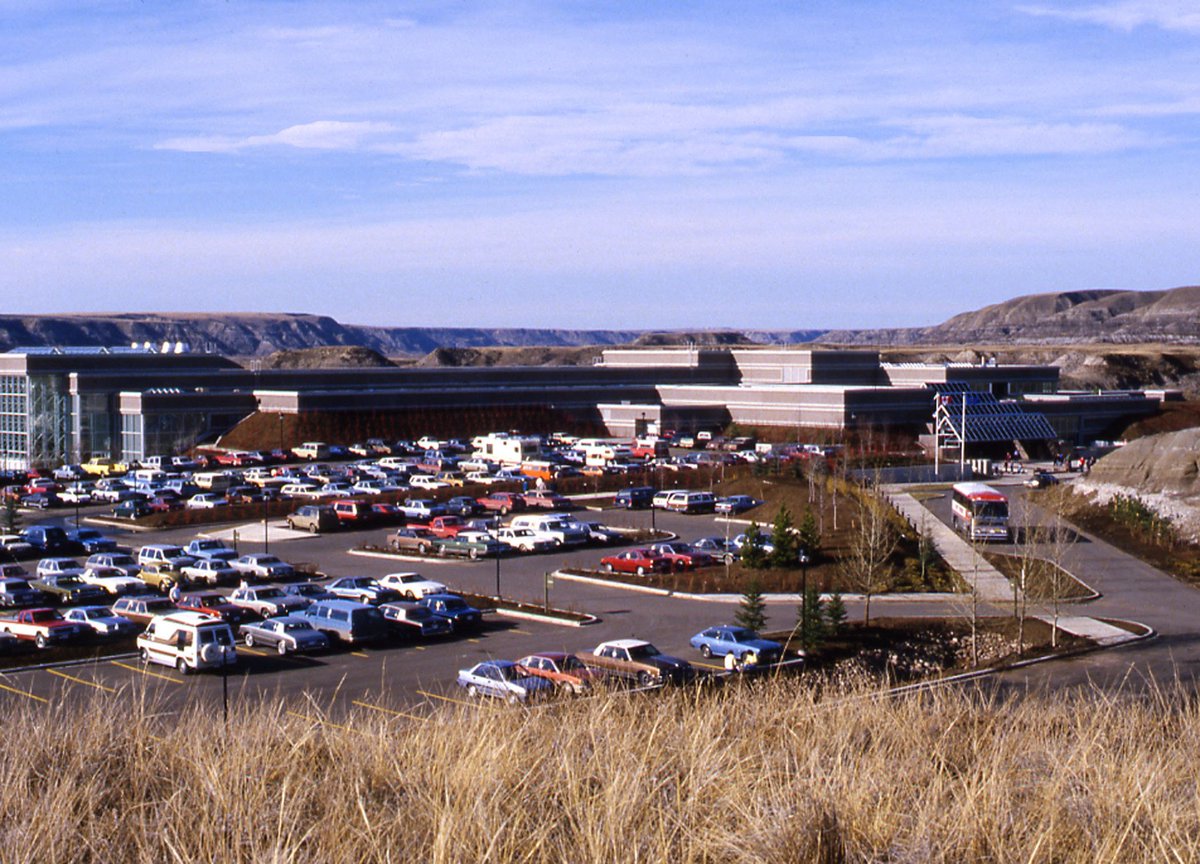 It’s our birthday! Today we’re celebrating 34 years of sharing a love of palaeontology with people from around the world.