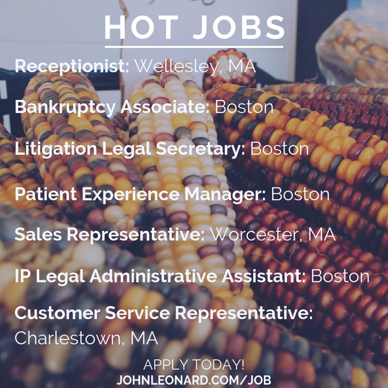 JLEmployment's tweet photo. FALL into one of our hot jobs this week! View the link to apply to these exciting positions and see all our open jobs! 🍂 https://t.co/V9h4qnyUzo #hotjobs #weeklyflash #Boston #MAarea #hiring #jobseekers #career #HR #legal https://t.co/4qjA6uiCHS
