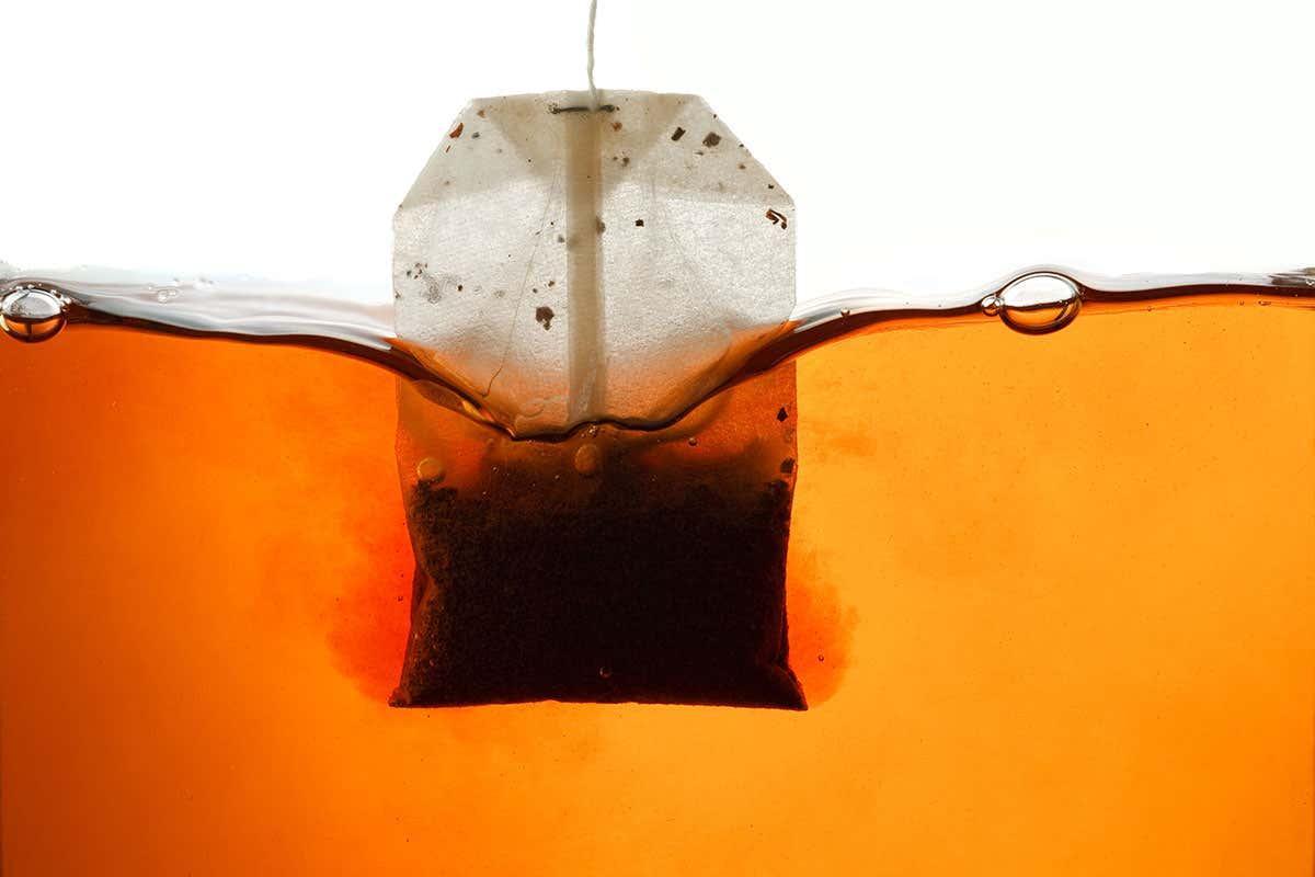 newscientist's tweet photo. Plastic tea bags shed billions of microplastic particles into the cup https://t.co/2qrxQhkyZf https://t.co/IXB4V3wHNu
