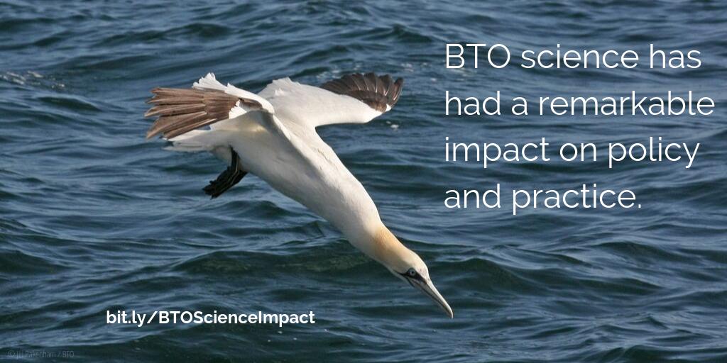 We really are making a difference through our science - check out this newly-published independent review of the quality and impact of our research: bit.ly/BTOScienceImpa… #BTOScience #ornithology