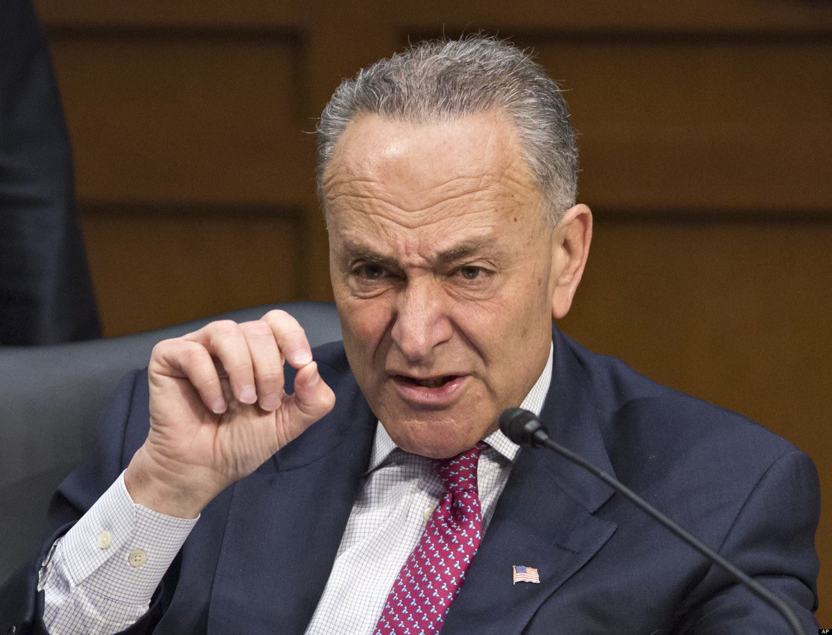 Schumer is back on the Trump attack! What a repugnant political hack! Democrats are still trying to take my Trump vote away! I say HELL NO!