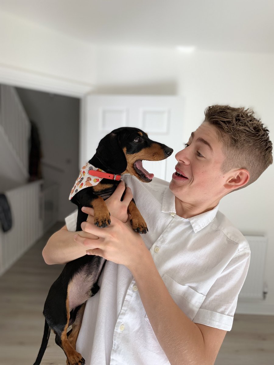 TommyJENTS's tweet photo. Loving the little family holiday to Cornwall ! @kevinlittleminidash was telling me of ! #dog #sausagedog #puppy #sausagedogsrule https://t.co/yewZjrdV70