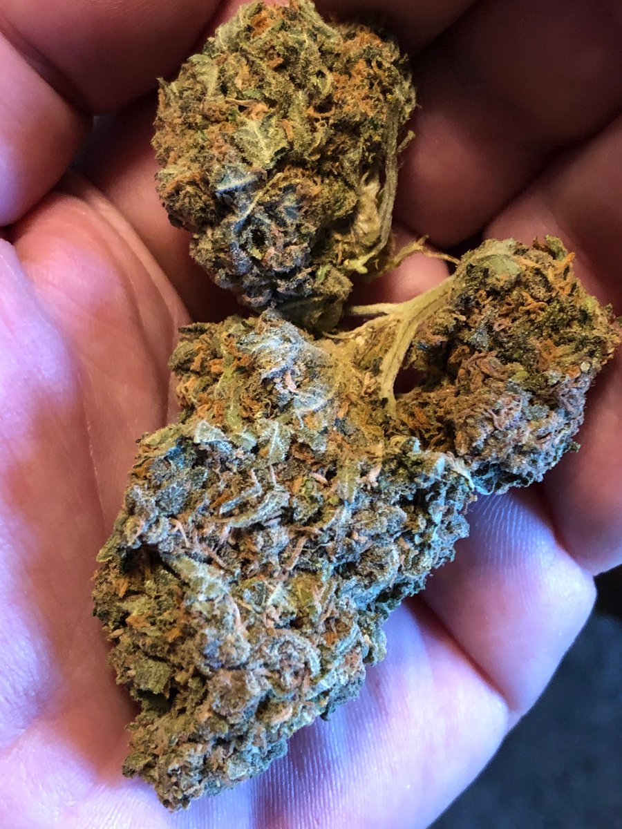 Hemp4Victory's tweet photo. One makes you larger, one makes you small... can you tell? #sativa or #indica #knowyourstrain https://t.co/Vw2wDPIDEw