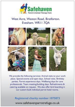 Encourageactivi's tweet photo. Brand new Dementia Friendly Animal Therapy farm opens in Evesham Worcestershire !!!!!! https://t.co/x1i6wxxWwR