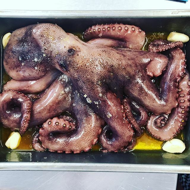 Smithys_Shack's tweet photo. A noice bit of octopus for a new starter .
.
.
#chefs #chefslife #freshfood #localingredients #local #truecooks #smithysshack #chefsofinstagram  #suffolk #foodtruck #streetfood #foodstagram #instachef #instafood #foodporn #octopus #foodblogger #foodograp… https://t.co/wEDA7QSD8U https://t.co/5SrBJfiXLD