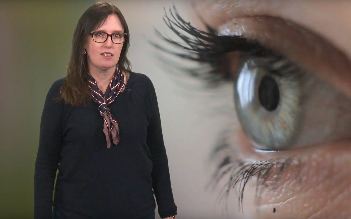 Når en elev har nedsatt syn, hva bør vi da vite om elevens synsfunksjon? Og hvordan legge til rette for godt læringsutbytte og godt sosialt samspill? Se vår nye videoserie om syn og synsfunksjon. statped.no/laringsressurs…  #inkludering
