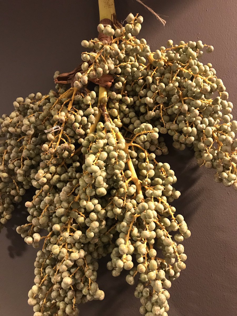 Er zijn weer mooie verse dadels verkrijgbaar