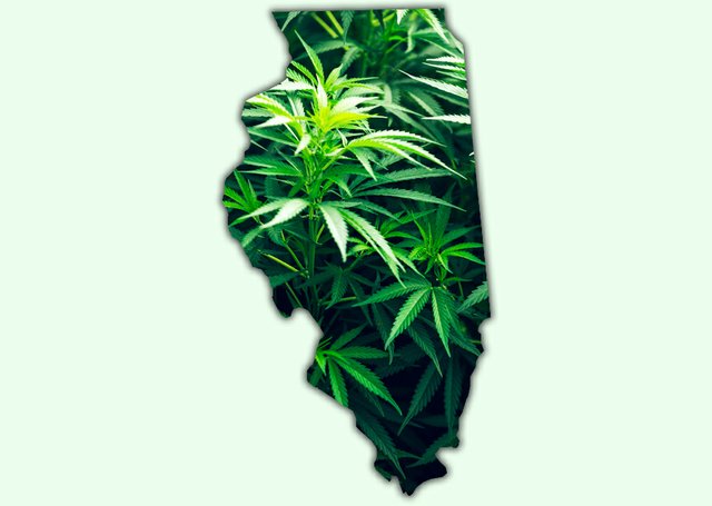To accommodate residents who did not have access to the Recreational Cannabis Survey in the recent wastewater billing, the City is providing the following online survey. Please click on the below link to take the survey.
pekin.civicserv.com/surveys/takesu…