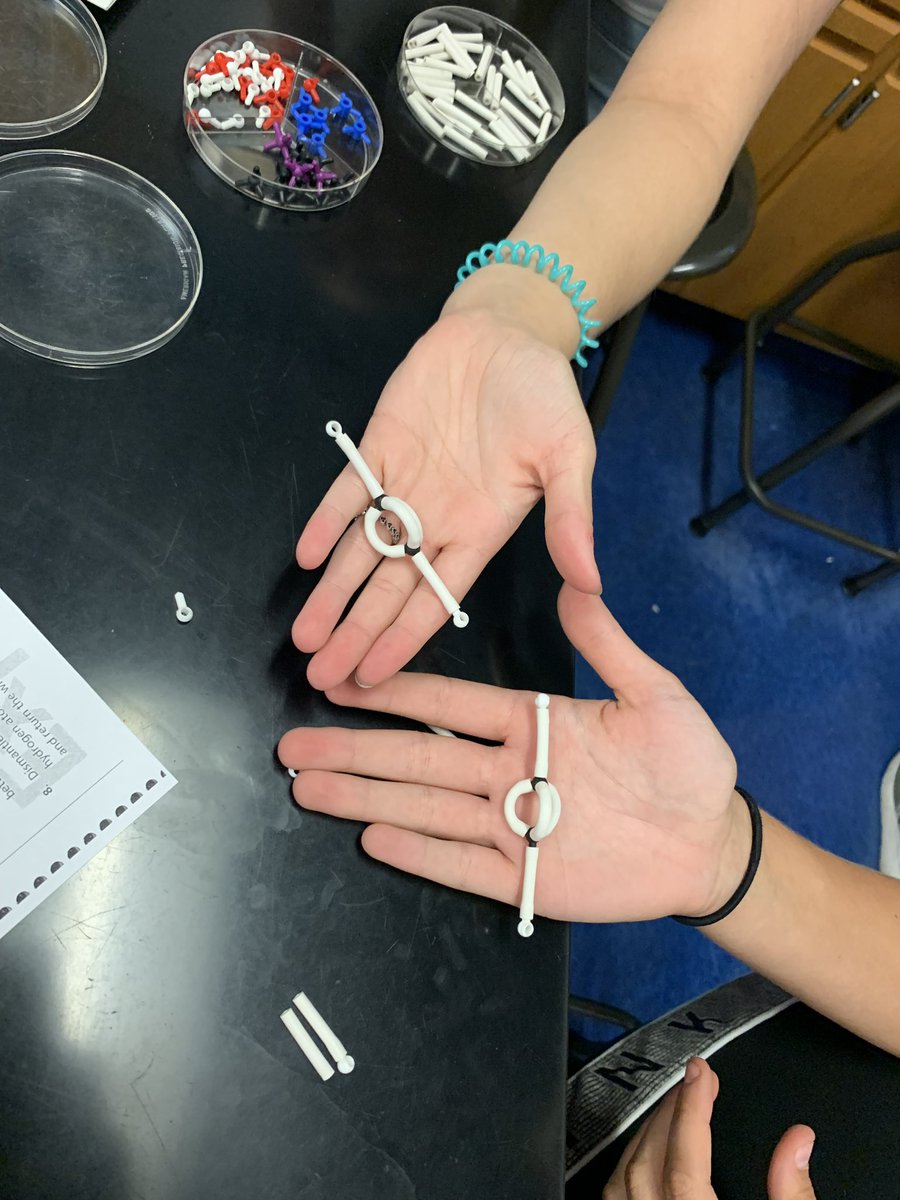wernerbiology's tweet image. It’s been a busy day in room 310 today! #CPbio was making organic compounds using molecular model kits. #isdstudentsdeserveit @IHSBucPride