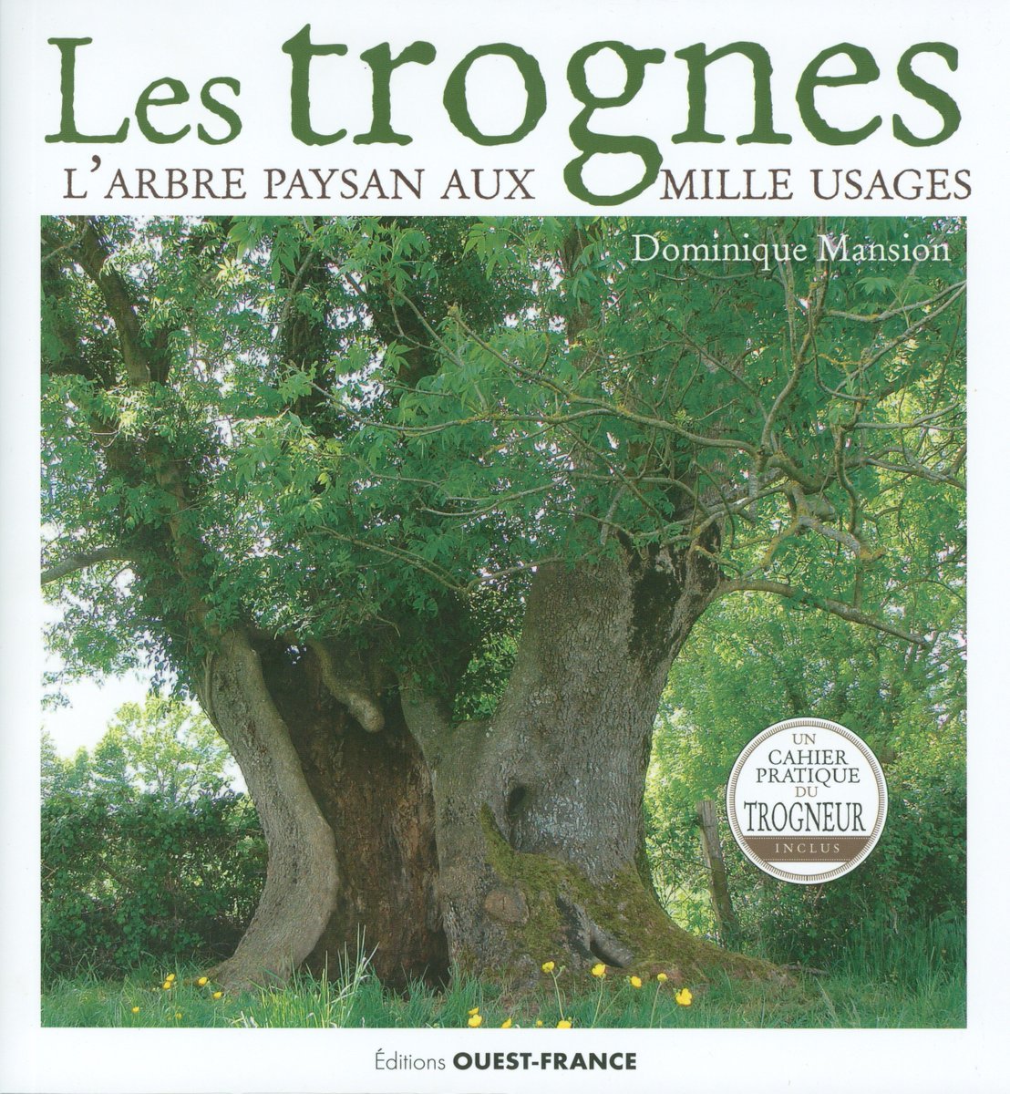 LevequeGeorges's tweet photo. Décidément la #maisonbotanique de #Boursay, #LoiretCher, n'est jamais à court d'idées, pas plus que le talentueux #dessinateur #DominiqueMansion qui depuis Boursay a rendu les #trognes #populaires. #Expositions et vente de #livres à la Maison #botanique :  https://t.co/zUODmiPO2H https://t.co/kQd4fjg3Wi