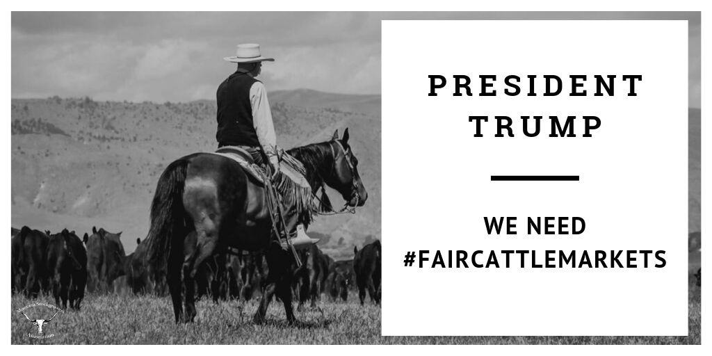 MTStockgrowers's tweet image. Dear @realDonaldTrump

Montana is proud to raise some of the most sought-after beef and cattle genetics in the world today. As advocates for MT ranchers, we're asking for your help to achieve #FairCattleMarkets.

Retweet/favorite this tweet to catch @realDonaldTrump’s attention!