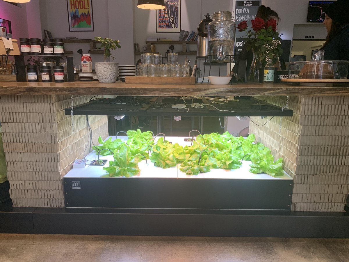 Záviš Pexidr tweet media