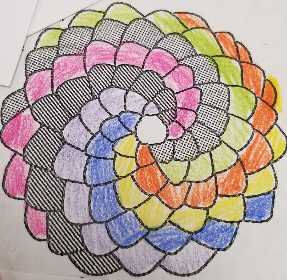 jadamseducator's tweet photo. It's Fibonnaci time in @LiscanoQuest's 5th grade class. Liscano QUEST Ss are using their visual and critical thinking skills to find the number of helices in their pinecone diagrams. 
#FISDQUEST
#MyFISDStory
#FriscoFutureReady https://t.co/kd7taFDbET