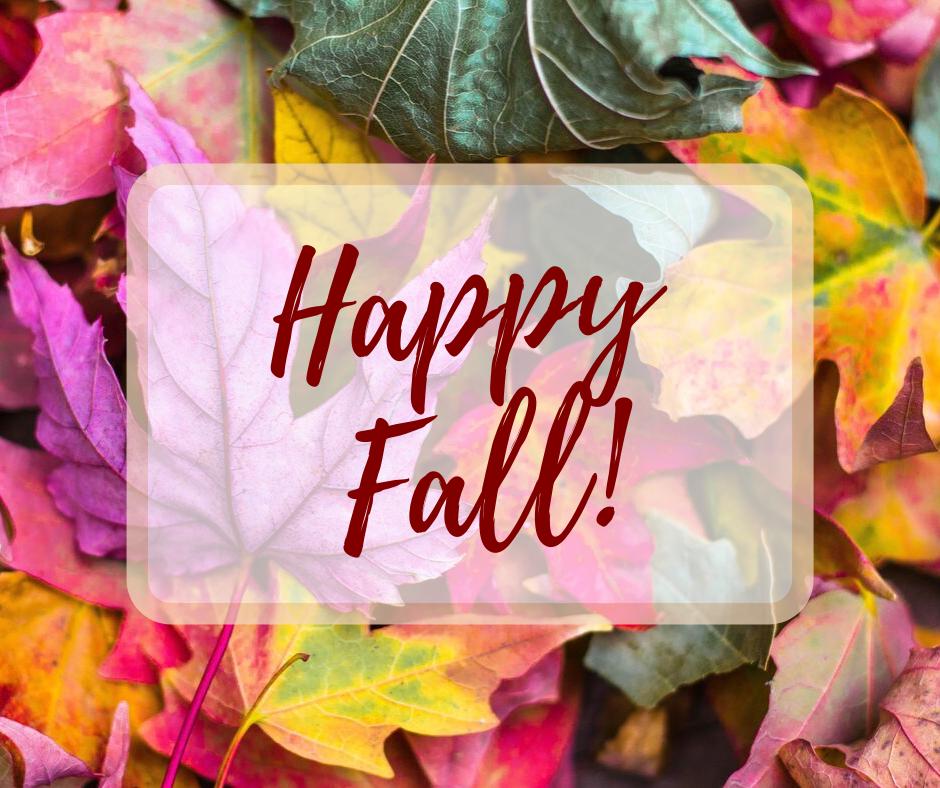 SRDesignGroup1's tweet image. Happy Fall from all of us at SR Design Group!😄🍂🌻🍁

Celebrate with a BEAUTIFUL remodel done by us!😉

Call us TODAY to learn more!
📞(336) 665-2555

#SRDesignGroup #Design #Remodeling