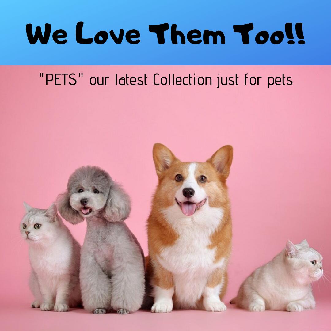 treasure_buy's tweet photo. “No one appreciates the very special genius of your conversation as the dog does.” – Christopher Morley

We are happy to announce that we have a wonderful collection for Pets 😊

Check Now ➡ https://t.co/wFyTvxJbUB

#dogs #cats #pets #TreasBuy #freeshipping #cute #free #sale https://t.co/Catd4PvuP9