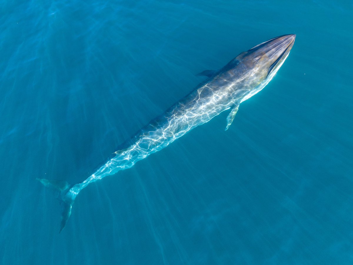 Kyle Mijlof tweet media