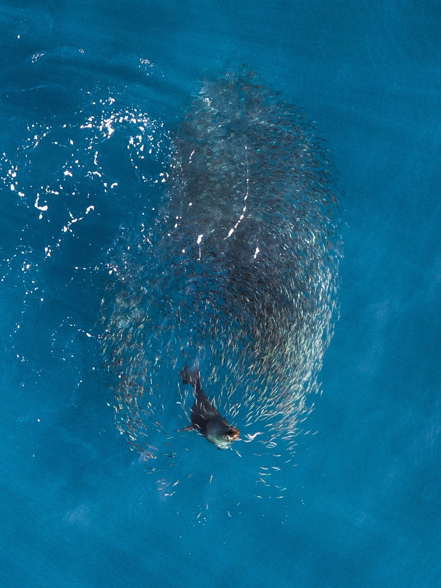 Kyle Mijlof tweet media