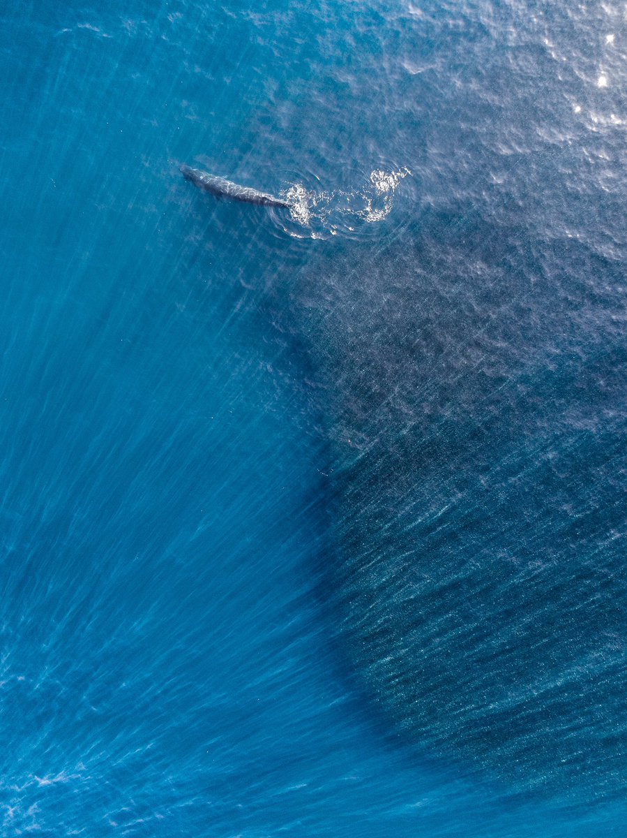 Kyle Mijlof tweet media