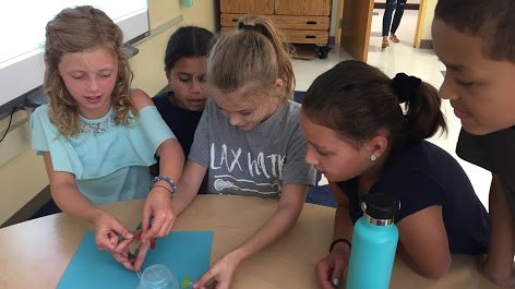 Navy Elementary tweet media