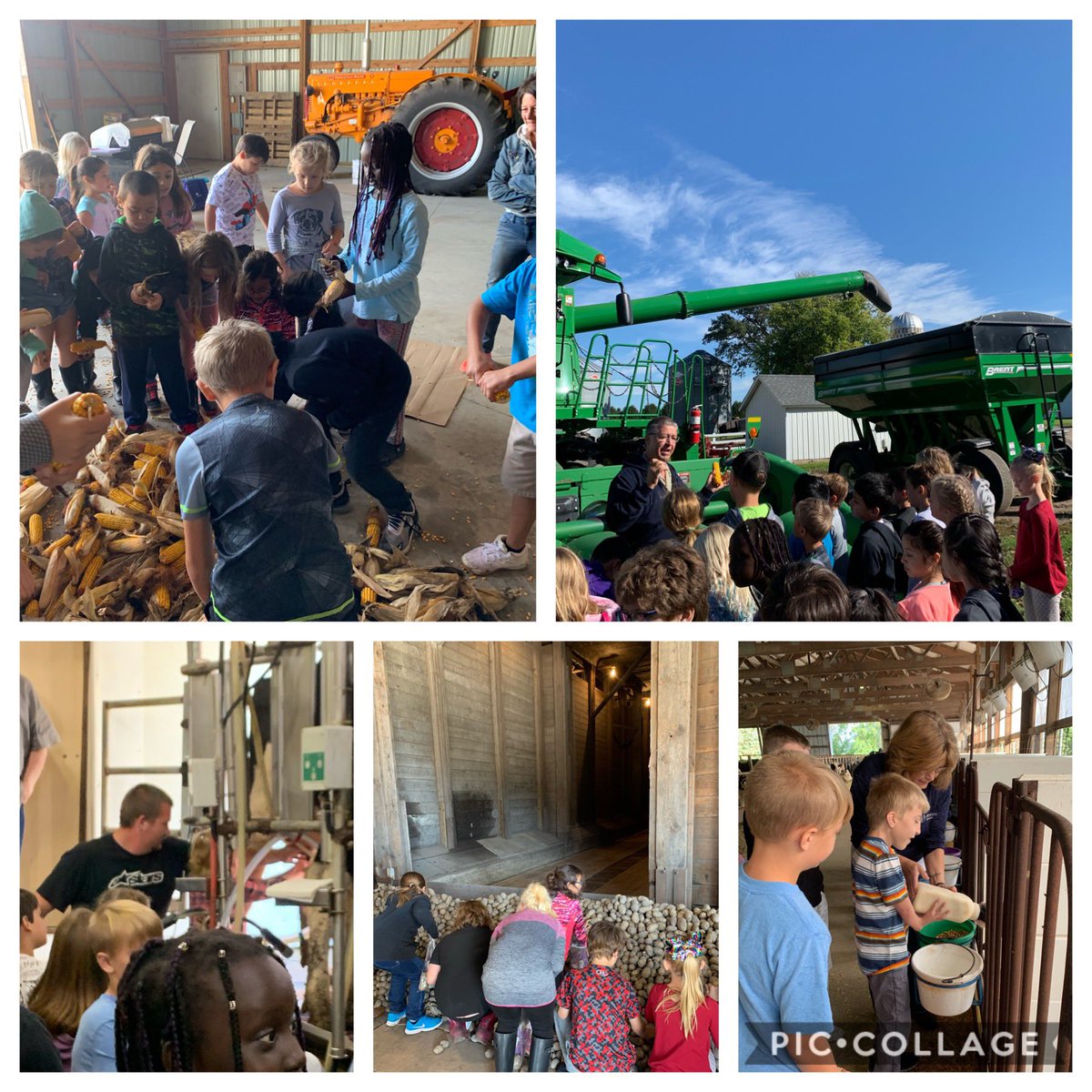 Jena Ziebell (@teacherziebell) on Twitter photo We had the perfect weather for our farm field trip day. ☀️ Thank you to all the farms that taught us all about agriculture. 🐄 🐖 🥔 <a href="/npeterson09/">Nicole Peterson</a> <a href="/ahareid/">Ann Hareid</a> <a href="/nicksofio/">Nick Sofio</a> <a href="/AlbertLeaSchool/">Albert Lea Schools</a> We had the perfect weather for our farm field trip day. ☀️ Thank you to all the farms that taught us all about agriculture. 🐄 🐖 🥔 <a href="/npeterson09/">Nicole Peterson</a> <a href="/ahareid/">Ann Hareid</a> <a href="/nicksofio/">Nick Sofio</a> <a href="/AlbertLeaSchool/">Albert Lea Schools</a>