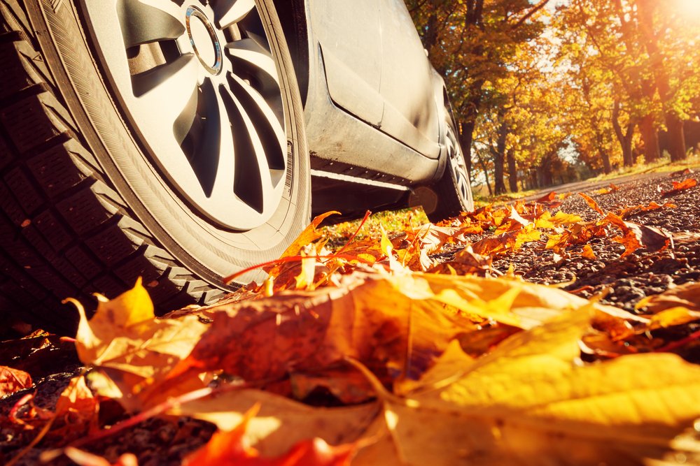 TireExperts's tweet photo. #WheelWednesday! Are your tires experiencing uneven wear? If so, book your next visit with our #CertifiedTechnicians.
Schedule your next appointment with your local store! https://t.co/HwEc2wPtYQ.
#ActiveGreenandRoss#TireExperts#SeasonalChangeOver#NewTires #ConsumerRebates https://t.co/mnlnK5wbbs