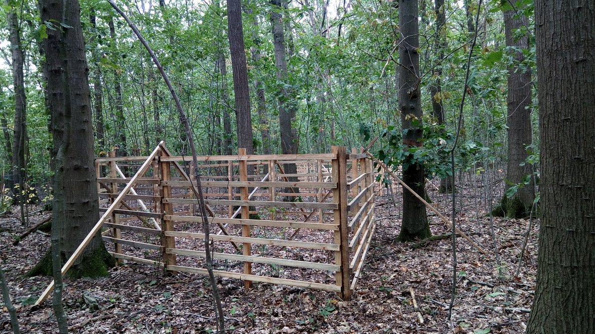 "reeblock": houten raster rondom aangeplante kloemp zodat reeën de jonge boompjes niet kunnen opeten. Geen plastiek wildbescherming meer in het bos. Reeblock geplaatst in het <a href="/InterregVLANED/">Interreg Vlaanderen-Nederland</a>  project <a href="/projecteco2eco/">eco2eco</a>