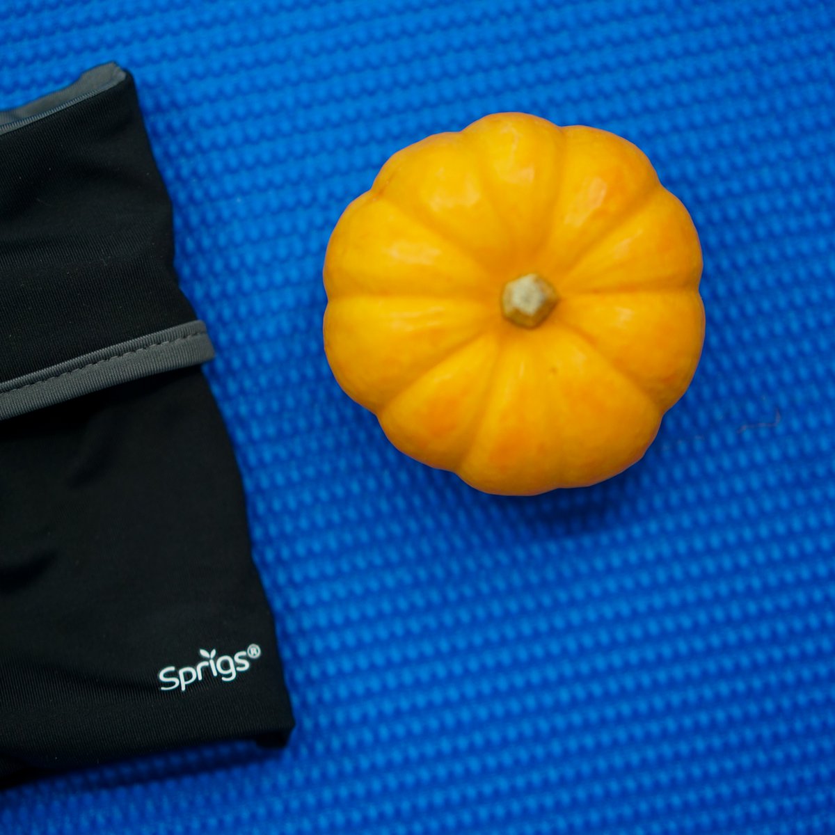 SprigsWear's tweet photo. It's time for our pumpkin edition of Will It Fit Wednesday in celebration of the first week of Fall!

Do you think this tiny pumpkin will fit inside our 2 Pocket Wrist Wallet? Let us know what you think! https://t.co/t8p2yR0Hy3