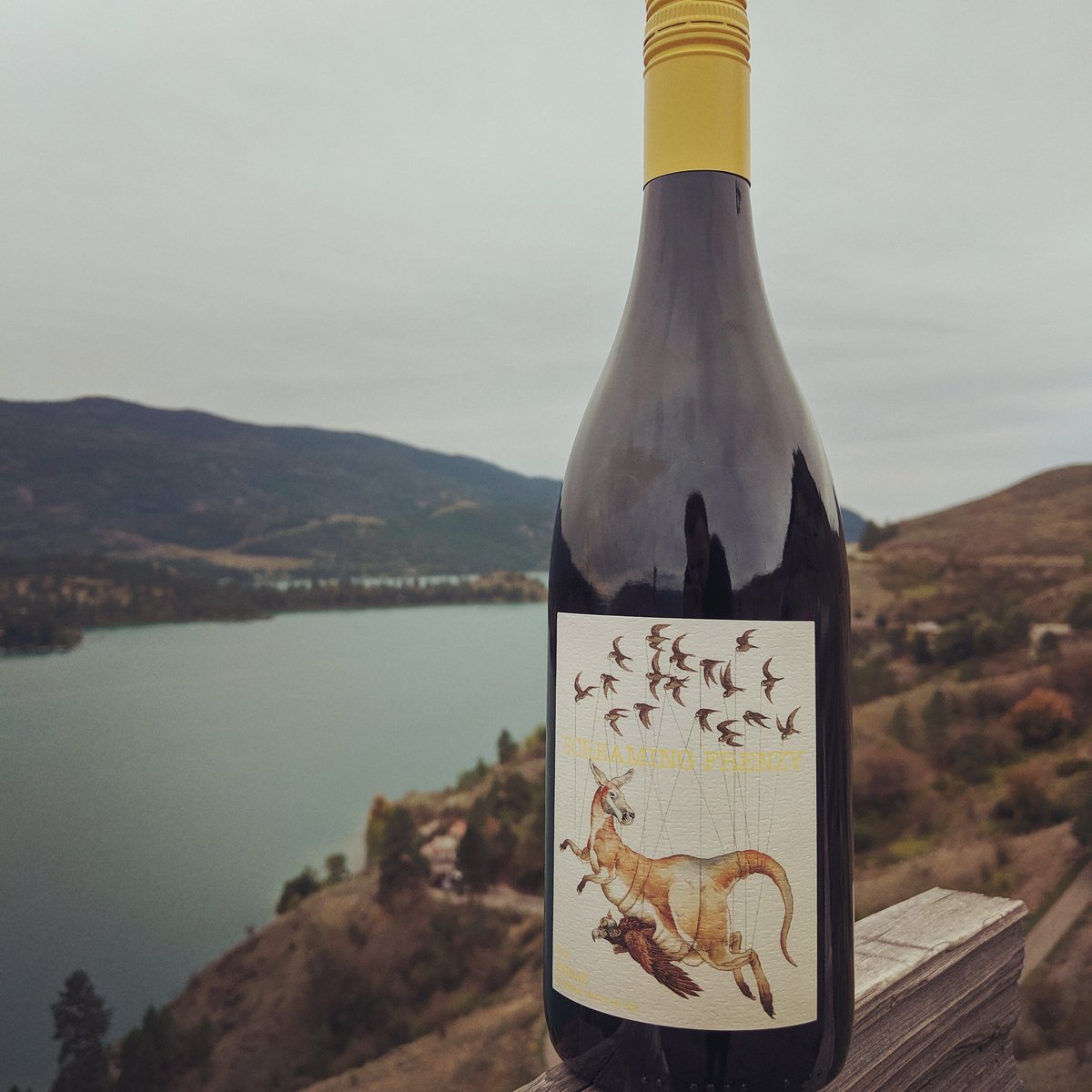 the hatch tweet media