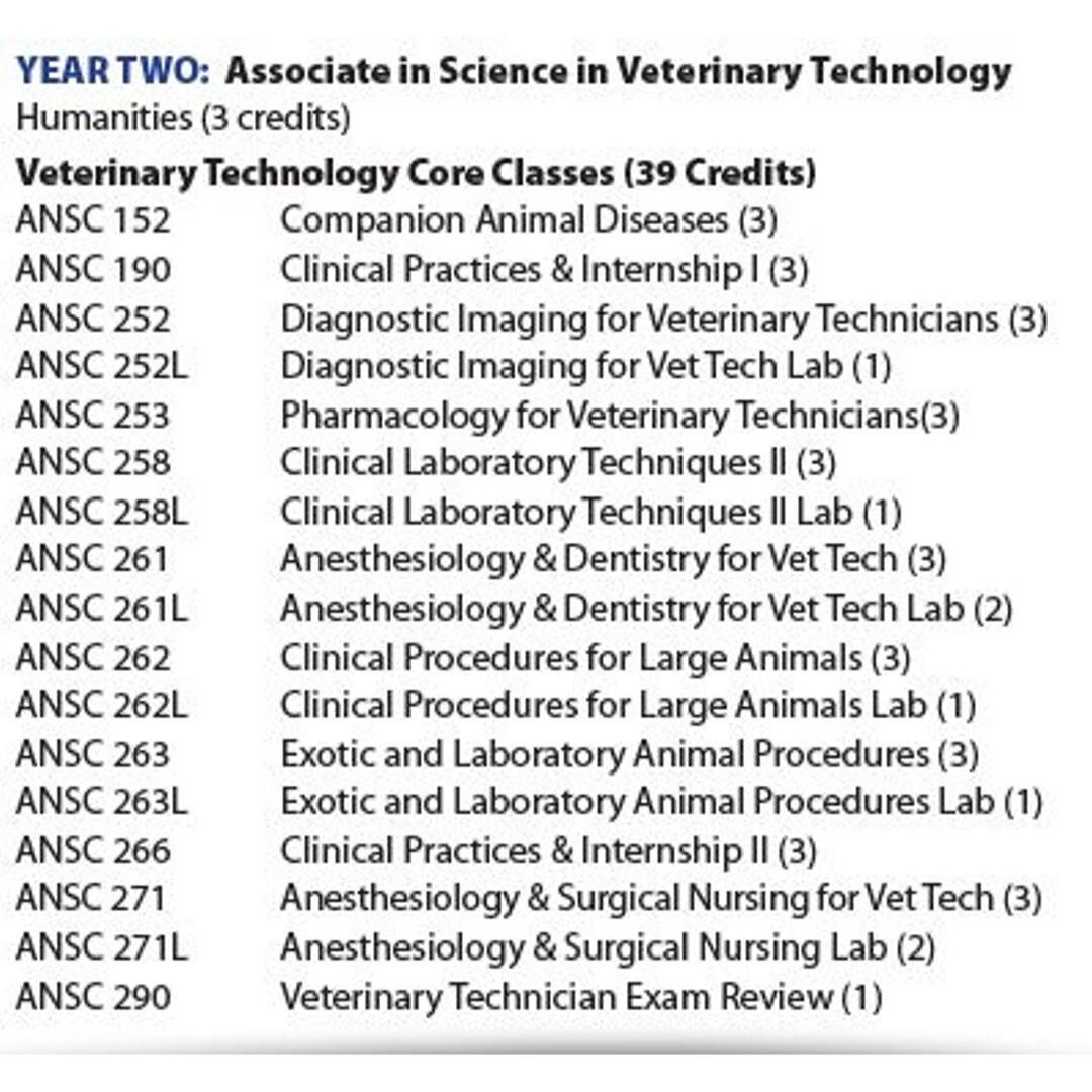 uctrmaui's tweet photo. Are you interested in receiving an Associate in Science Degree in Veterinary Technology? @WindwardCC is offering a Hybrid – Online program. It is available to all Maui County residents.
.
.
.
.
#distancelearning #onlinelearning #student #education  #mauinokaoi #uhcenter https://t.co/q0YfFMlfg5