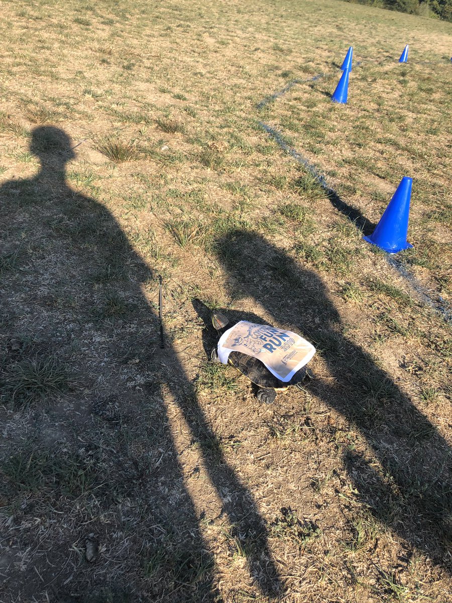 stephenjturtle's tweet photo. Today we had a “Fun Run” at school. Usually I run to hide or escape, but today I ran to raise money for our school.  And I go to meet the 1 and only Cody Coyote!! ❤️❤️ @RLCPrincipal  @RLC_Coyotes #classpets https://t.co/dqV71uZuEX