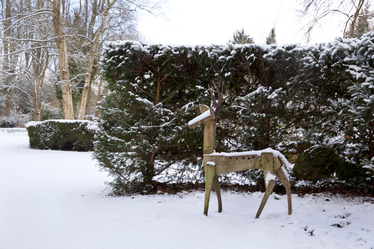 Just 2 more open days of the season - Sat, 28th and Sun, 29th September.  Not many chances to buy our rather lovely Christmas cards with 4 scenes of the Garden in winter in packs of 8 for sale at £5.50.  But, also on sale at the Gibberd Gallery.