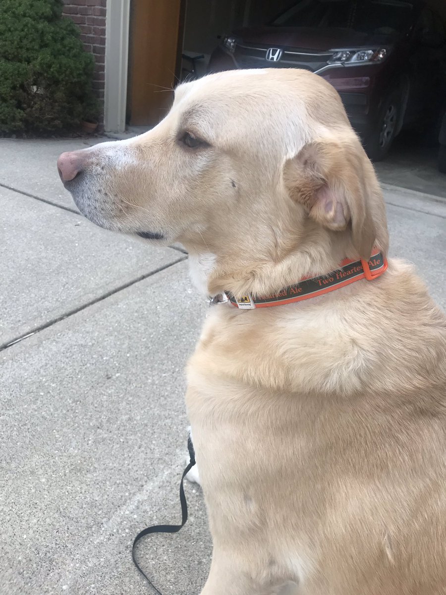 If anyone is curious, Rueben supports <a href="/BellsBrewery/">Bell's Brewery</a>