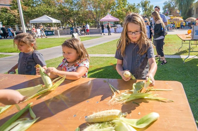 Corn shucking is a great activity for all ages!