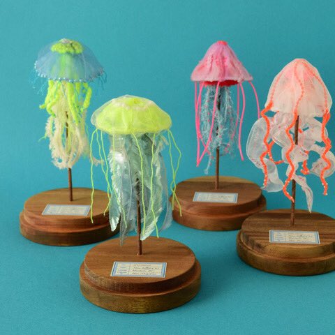 「jellyfish」 illustration images(Oldest)