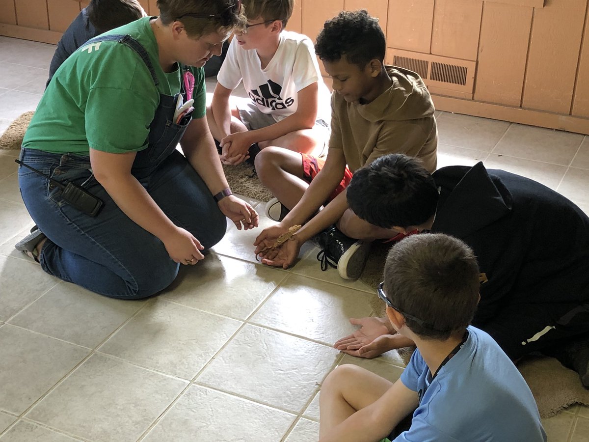 TFD205's tweet photo. 1st Activity - Reptiles!!! #ROMS6thGradeCamp #bulldawgproud https://t.co/PiuOmEm68F