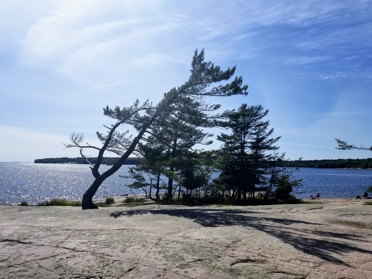 pEtErdEnElzEn's tweet photo. @KillbearPP #NationalTreeDay #KillbearTree https://t.co/hJyeMnCufz