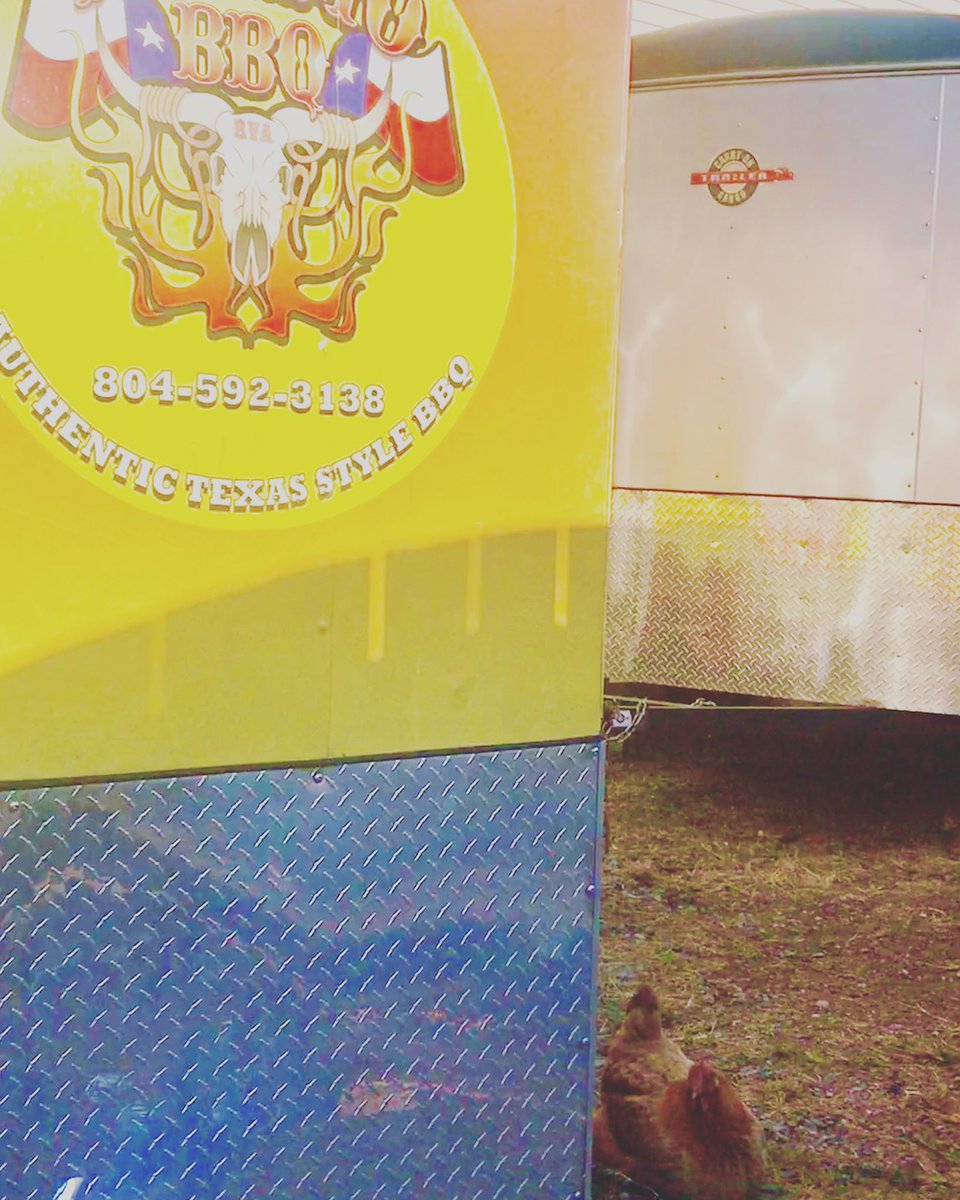 Never a dull day at the ‘mo. #patioweather #chickens #digit #urbanhomesteading #churchhill #churchhillrva