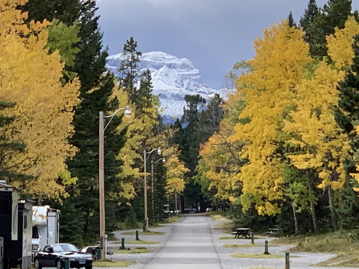 Denise13F's tweet photo. 5k w\@Tim13S #Earthathon #TrailRunning Pack #Bearspray when leaving your campsite.
#RunningOnHope #JustOneSmallStepataTime #PhotosOfMyLife #PhotoOfTheDay
#Camping 
#LessonsLearned 
#MentalHealthAwareness #Mentalillness #CPTSD #Complex #PTSD #EndTheStigma Running helps me to cope. https://t.co/ABuWPd4CJt