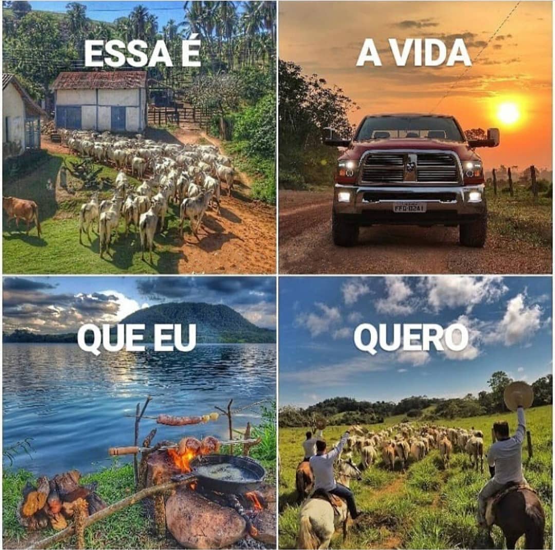 culturacaipira's tweet photo. Um cadim di cada só, sô! 🏡🐏🍖🤠 I ocê, cunhece alguém assim?!?
#culturacaipira #culturabrasileira #caipira #rural #interior #dointerior #campo #camionete #churrasco #fazenda https://t.co/5shaIyoWmK
