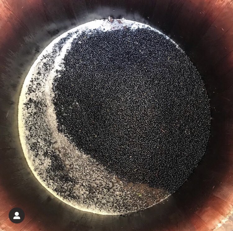 Pinot “harvest moon” shot by winemaker James Frey at <a href="/trisaetum/">Trisaetum</a> 🌜 #wvharvest2019