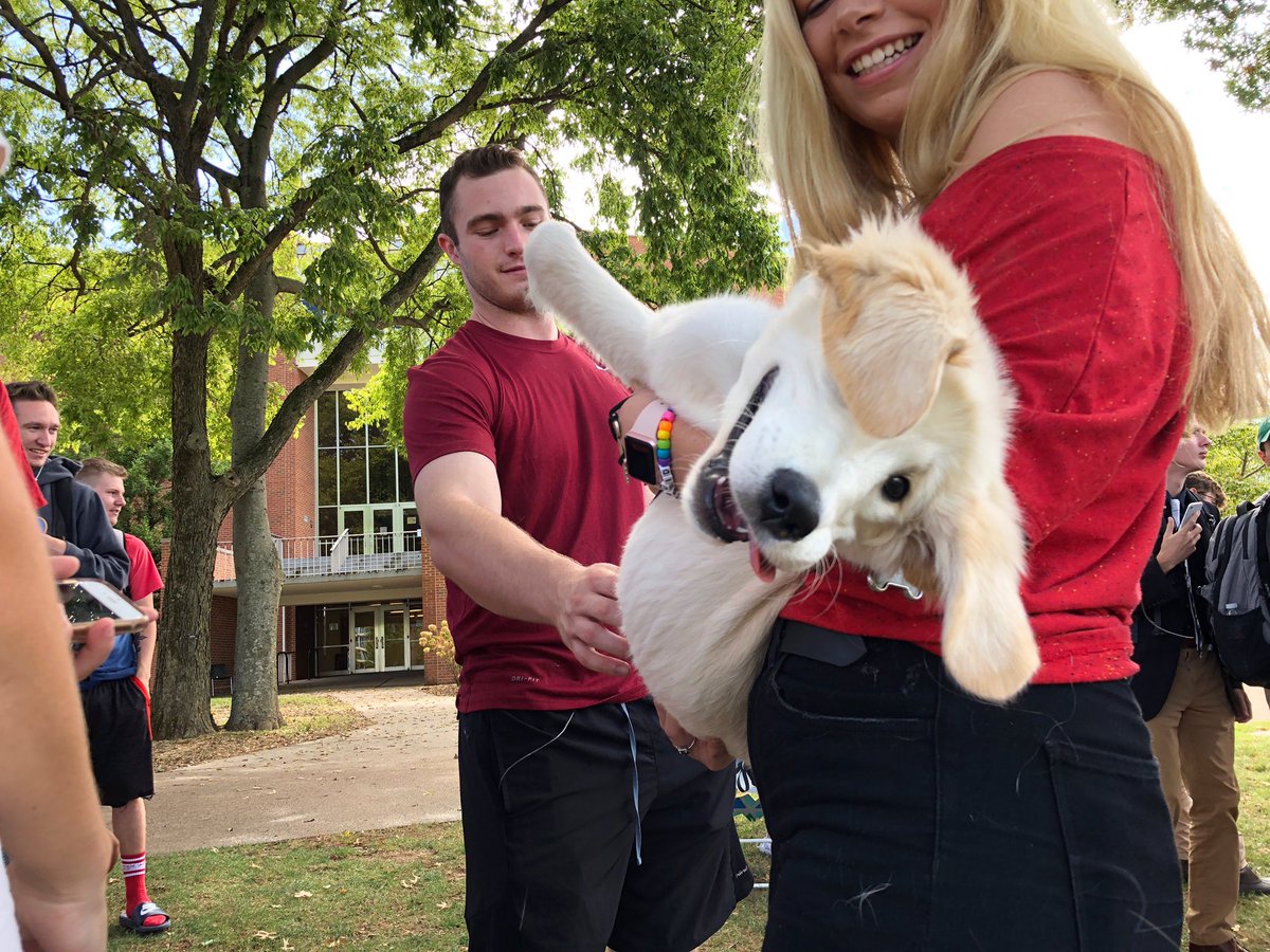 wku's tweet photo. Phi Mu is hosting Smooch a Pooch on WKU South Lawn today. Head over before 2pm to help them raise funds for Children’s Miracle Network Hospitals! https://t.co/NIp1nrXnJr